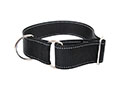 COLLIER TRAINEAU 2X15-25