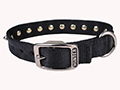 HUNTER DOUBLE NYLON COLLAR W/SPIKES