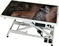 TABLE TOP MAT - CATS  PICTURE 24x 48