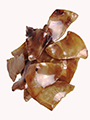 OREILLES DE PORC - 100/CS